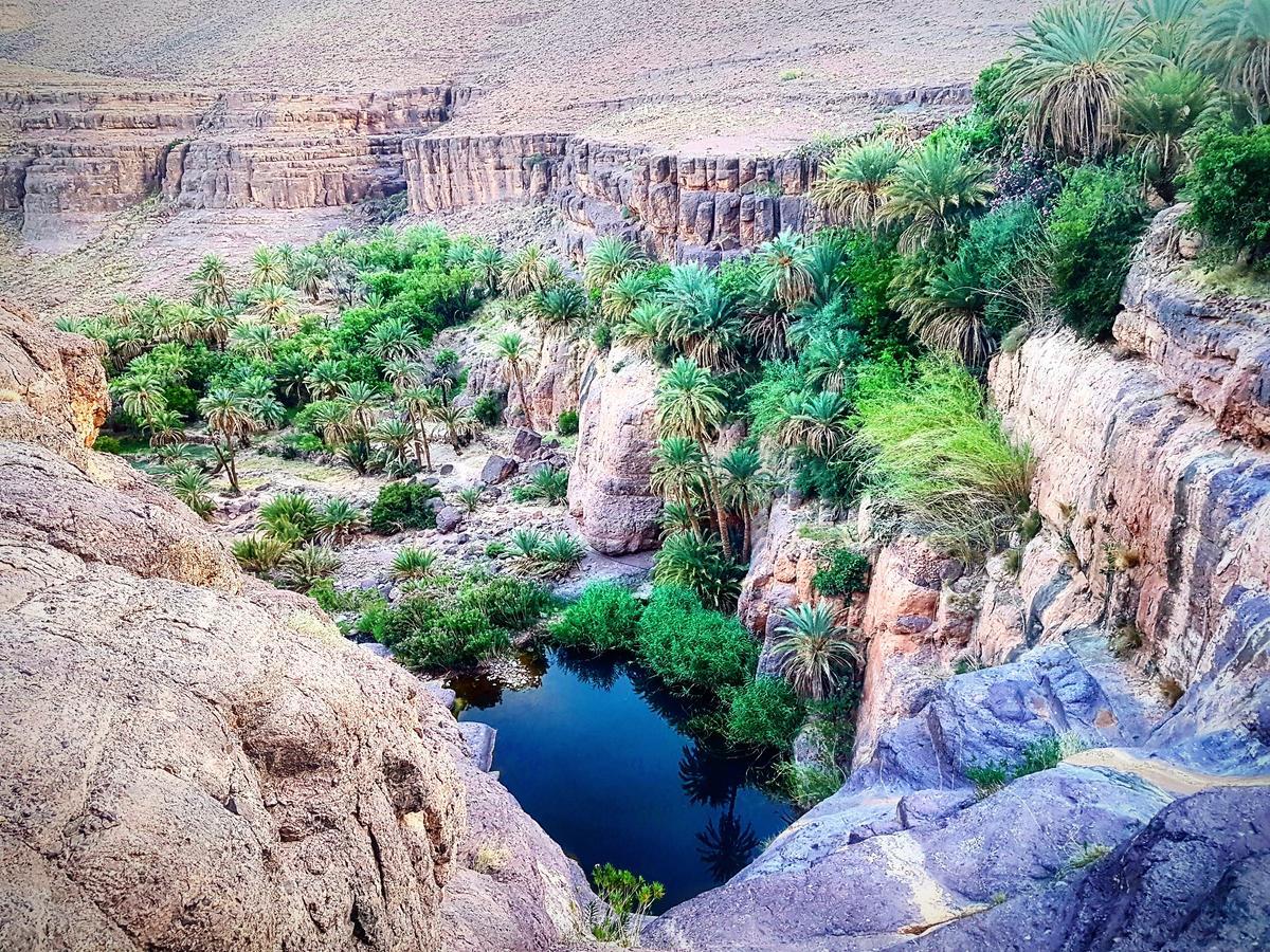 Ouednoujoum Ecolodge & Spa Ouarzazate Exterior foto
