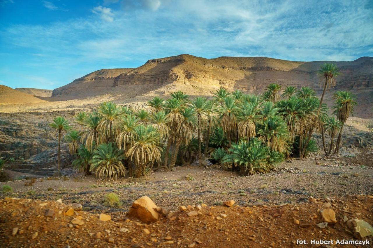 Ouednoujoum Ecolodge & Spa Ouarzazate Exterior foto